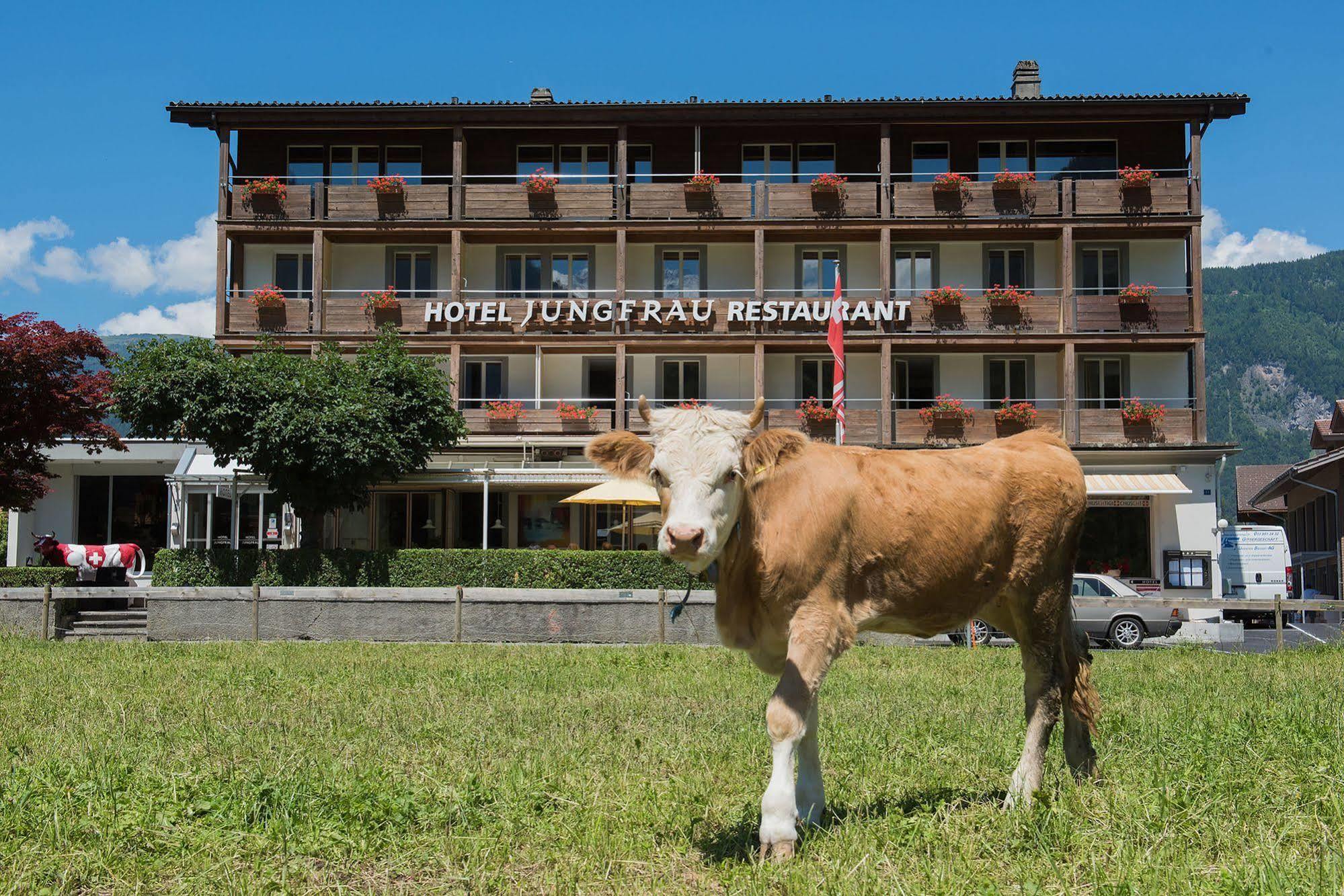 Jungfrau Hotel Вільдерсвіль Екстер'єр фото