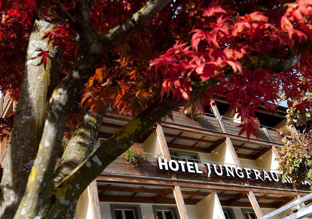 Jungfrau Hotel Вільдерсвіль Екстер'єр фото